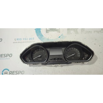 CUADRO INSTRUMENTOS 981384898001  - miniatura 1