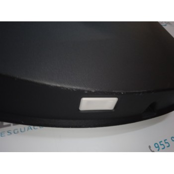 GUARNECIDO PUERTA TRASERA IZQUIERDA  - miniatura 2