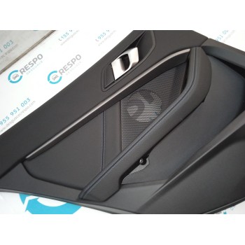 GUARNECIDO PUERTA TRASERA IZQUIERDA  - miniatura 5