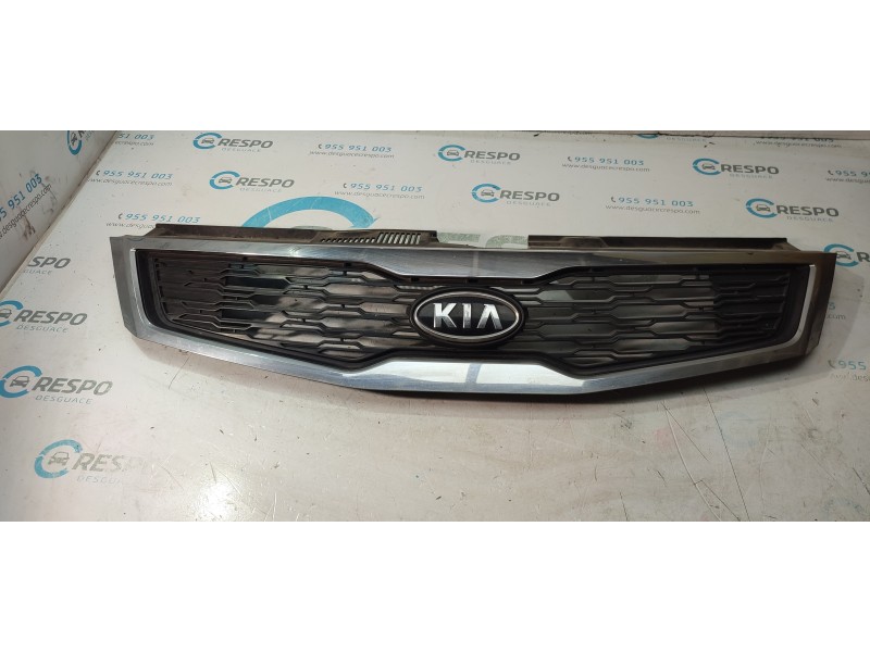 CALANDRA DELANTERA DE RADIADOR  - imagen 1