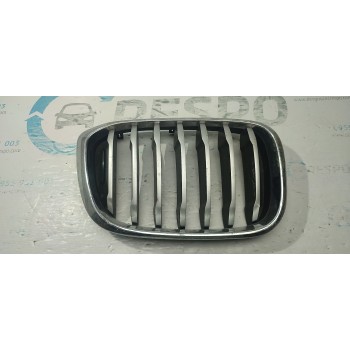 CALANDRA DELANTERA DE RADIADOR 