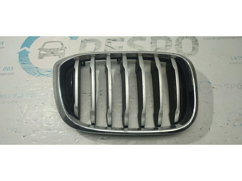 CALANDRA DELANTERA DE RADIADOR  - imagen 1