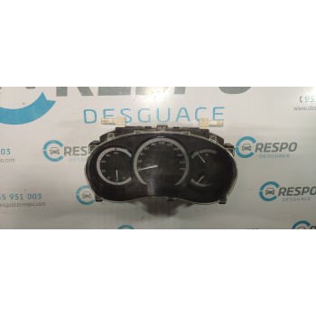 CUADRO INSTRUMENTOS P248101865R 