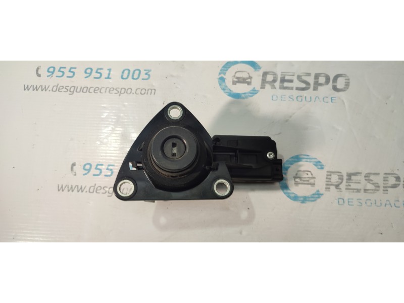 MANETA EXTERIOR PORTON 906062426R  - imagen 1