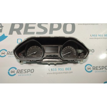 CUADRO INSTRUMENTOS 981384898000  - miniatura 1