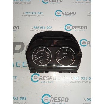 CUADRO INSTRUMENTOS 262987001 