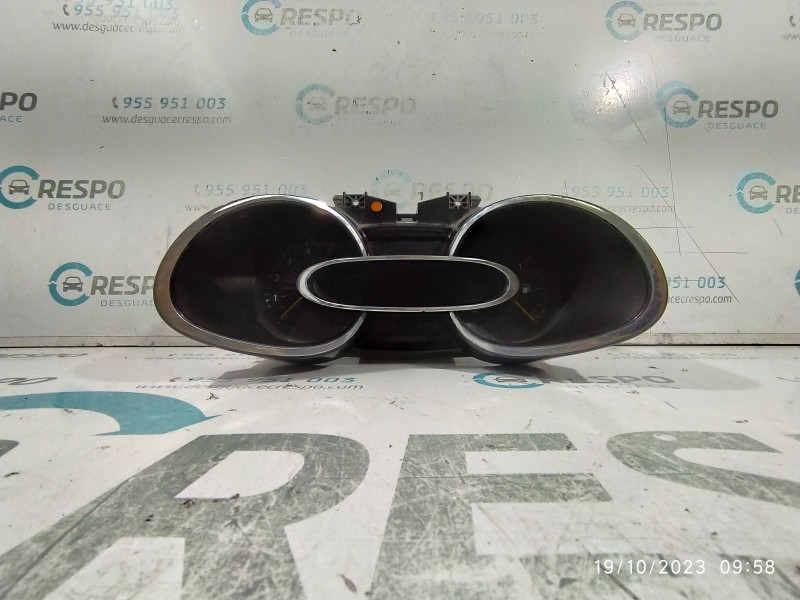 CUADRO INSTRUMENTOS 248108588R  - imagen 1