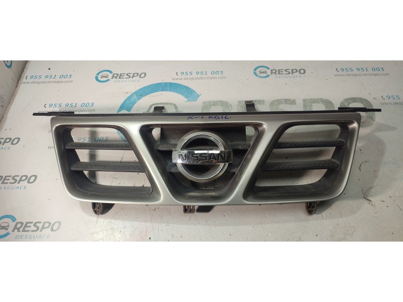 CALANDRA DELANTERA DE RADIADOR  - imagen 1