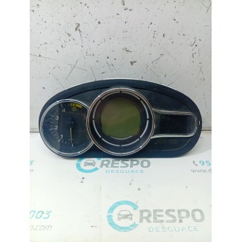 CUADRO INSTRUMENTOS 248100342R 