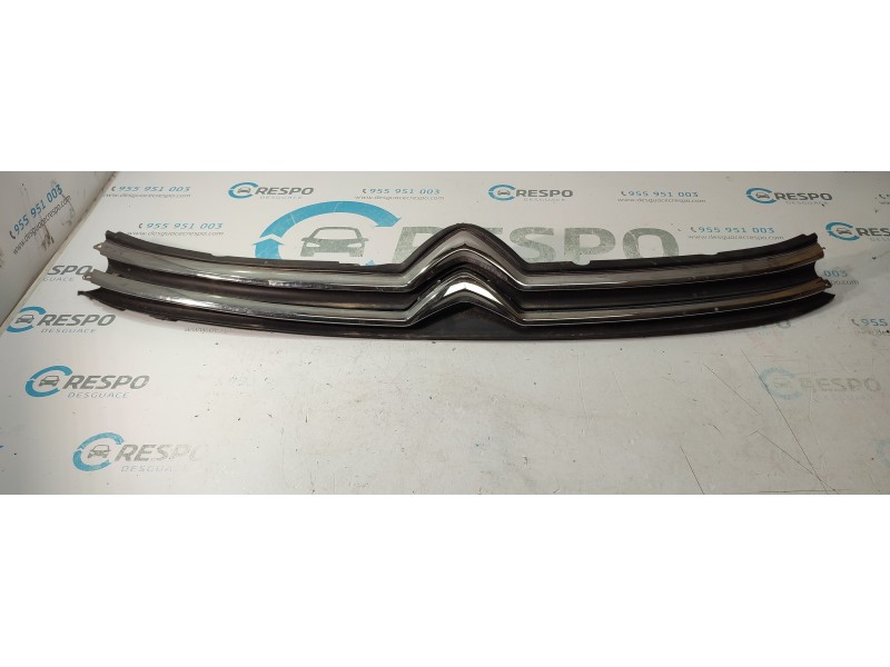 CALANDRA DELANTERA DE RADIADOR  - imagen 1