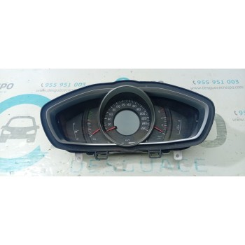 CUADRO INSTRUMENTOS 31665048 