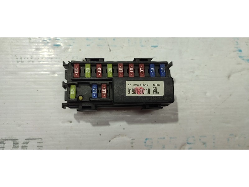 CAJA RELES / FUSIBLES 919513X110  - imagen 1