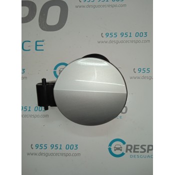 TAPA EXTERIOR COMBUSTIBLE 8X0809906 