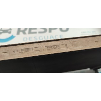 RADIADOR AGUA 214100002R  - miniatura 2