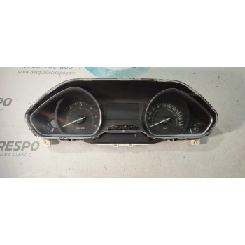 CUADRO INSTRUMENTOS 981384898001  - miniatura 1