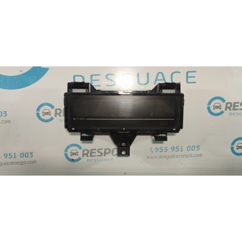 CUADRO INSTRUMENTOS 248106980R 