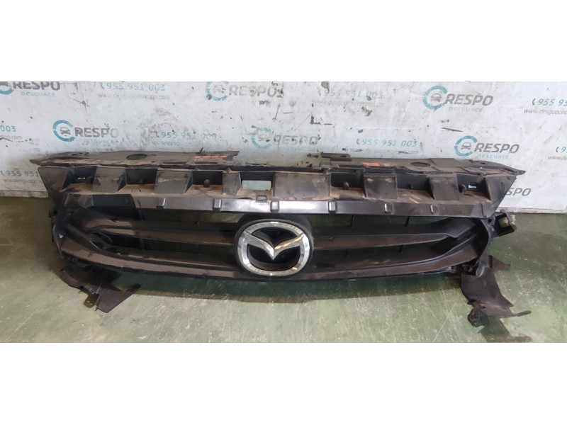 CALANDRA DELANTERA DE RADIADOR  - imagen 1