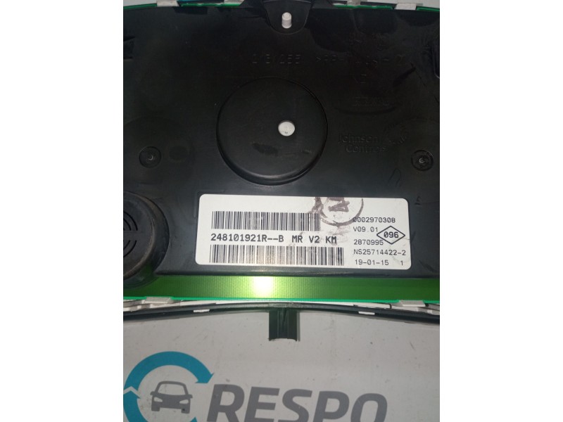 CUADRO INSTRUMENTOS 248101921R  - imagen 2