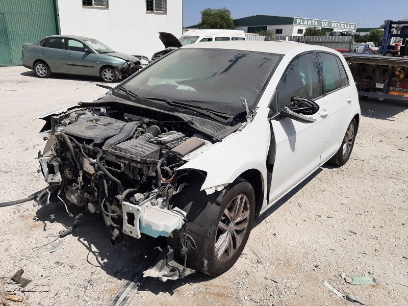 VOLKSWAGEN GOLF VII LIM. (BQ1) - imagen 1