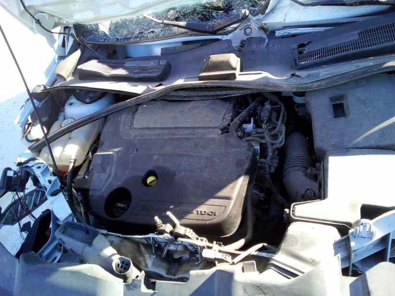 FORD KUGA (CBV) - imagen 4