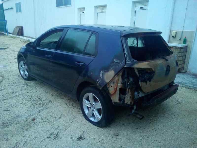VOLKSWAGEN GOLF VII LIM. (5G1) - imagen 5