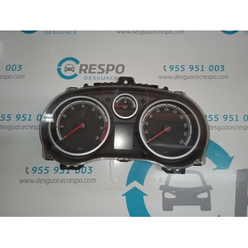 CUADRO INSTRUMENTOS P0013373007 