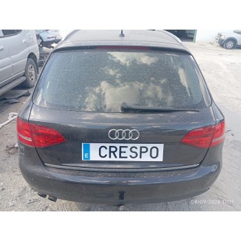 PORTON TRASERO 