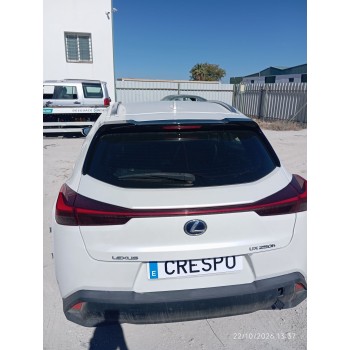 PORTON TRASERO 