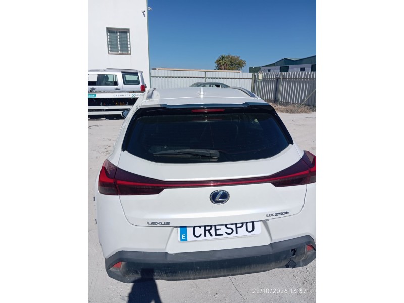 PORTON TRASERO  - imagen 1