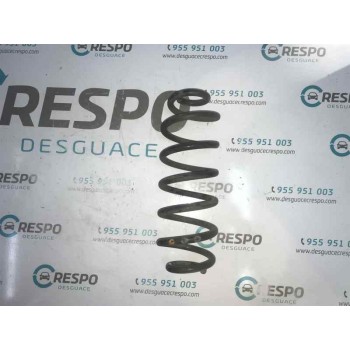 MUELLE AMORTIGUACION 