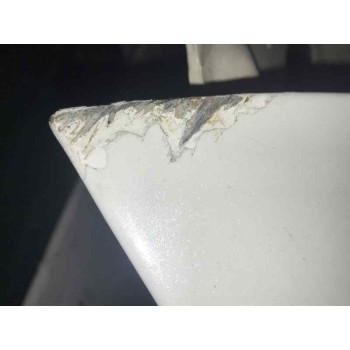 PORTON TRASERO  - miniatura 3