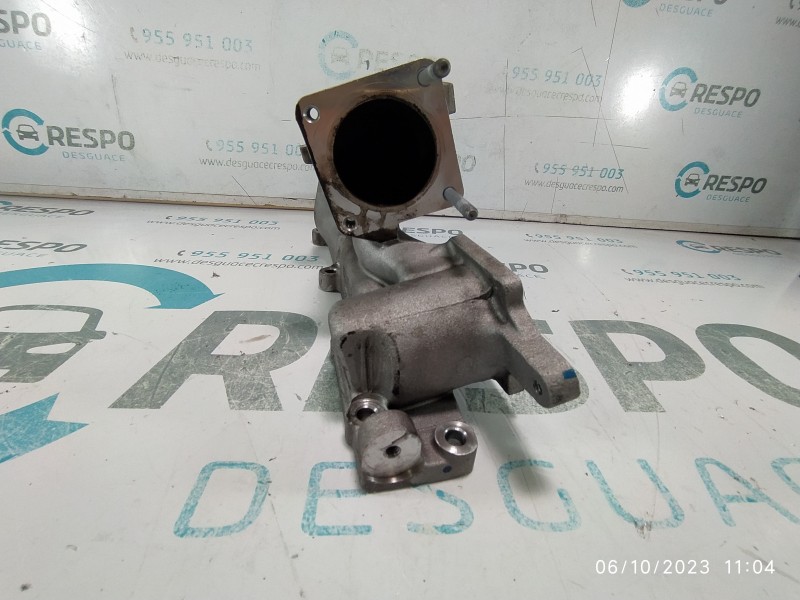 COLECTOR ADMISION  - imagen 4