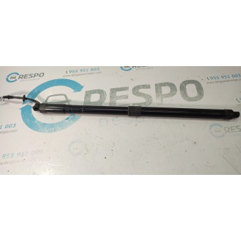 AMORTIGUADORES MALETERO / PORTON 97051257318 