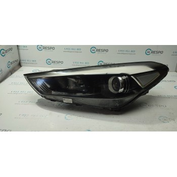 FARO IZQUIERDO D7921110A0 